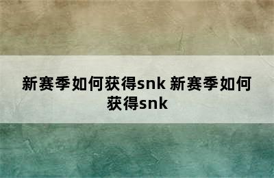 新赛季如何获得snk 新赛季如何获得snk